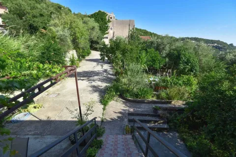View of the courtyard and driveway surrounded by greenery. - image 10