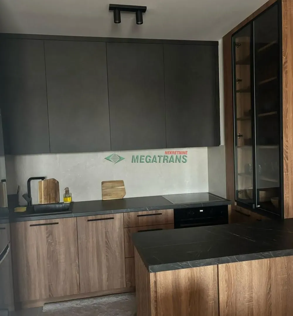 Izdavanje, dvosoban stan, 50m², Tošin bunar, Novi Beograd Sve Podlokacije