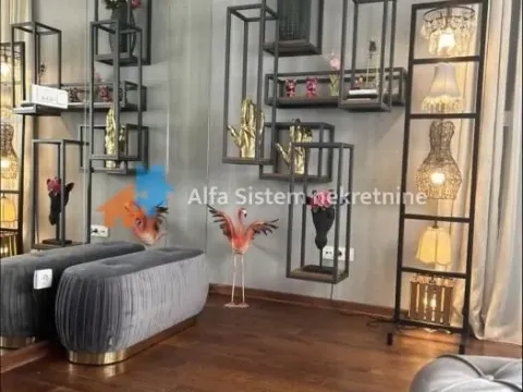 Izdavanje, stan, 107m², Denkova Basta, Zvezdara Sve Podlokacije - image 5