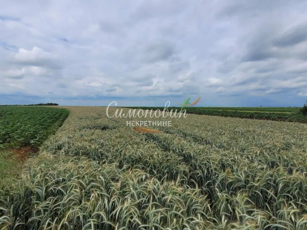Prodaja, plac, 2200m², Zemun Ugrinovci, Zemun Sve Podlokacije