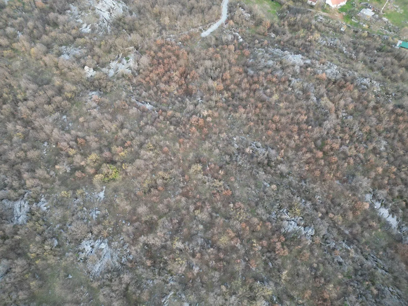 Prodaja, plac, 13500m², Bandići, Danilovgrad