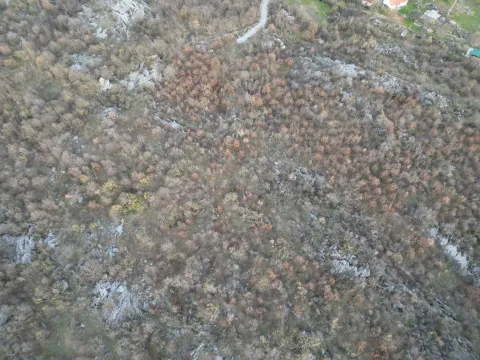 Prodaja, plac, 13500m², Bandići, Danilovgrad - image 15