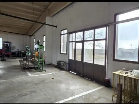 Izdavanje, poslovni prostor, 532m², Srbobran, Novi Sad - image 21