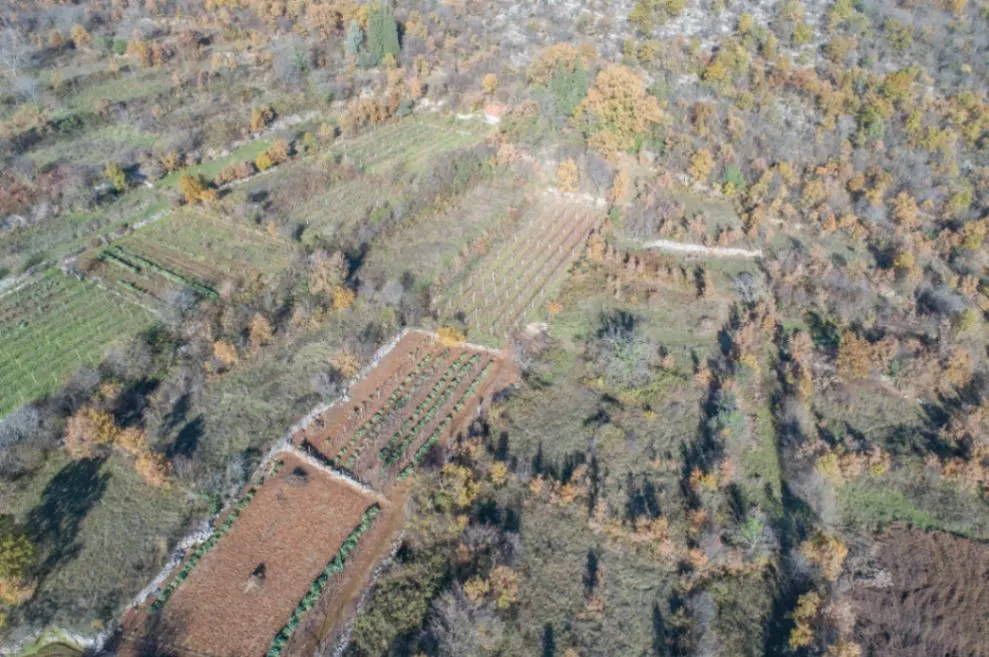 Prodaja, plac, 40000m², Brežine, Podgorica
