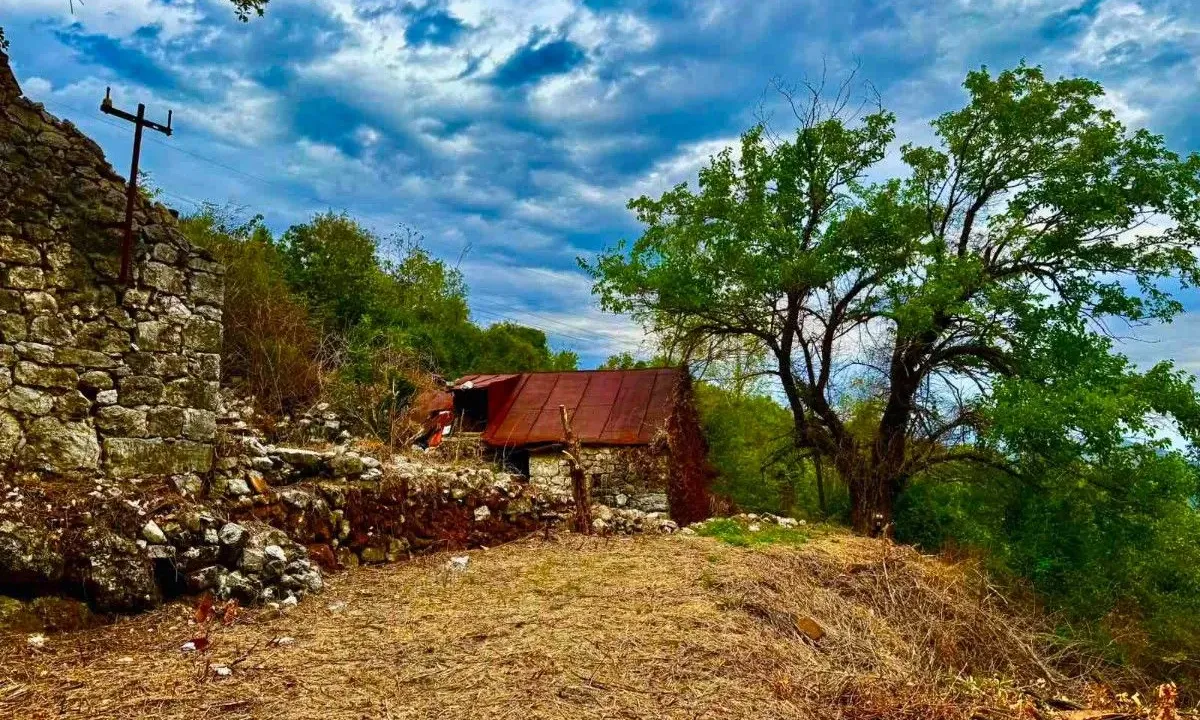 Sale, land lot, 10001m², Dobrsko Selo, Cetinje