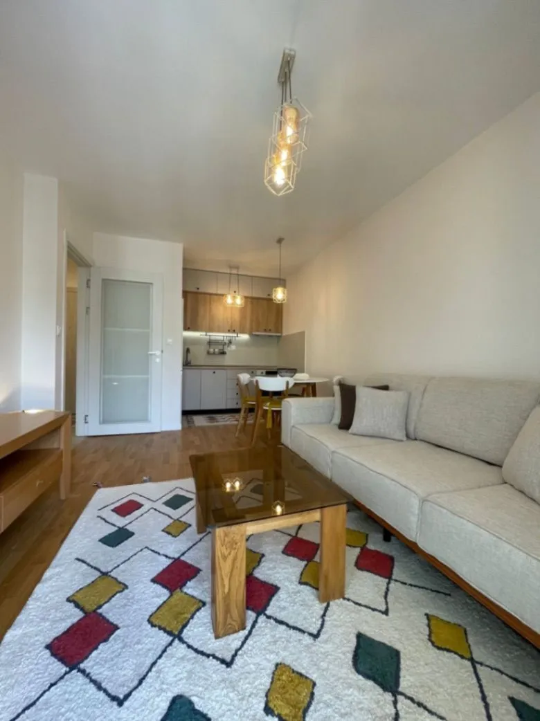 Izdavanje, jednosoban stan, 42m², Pobrežje, Podgorica