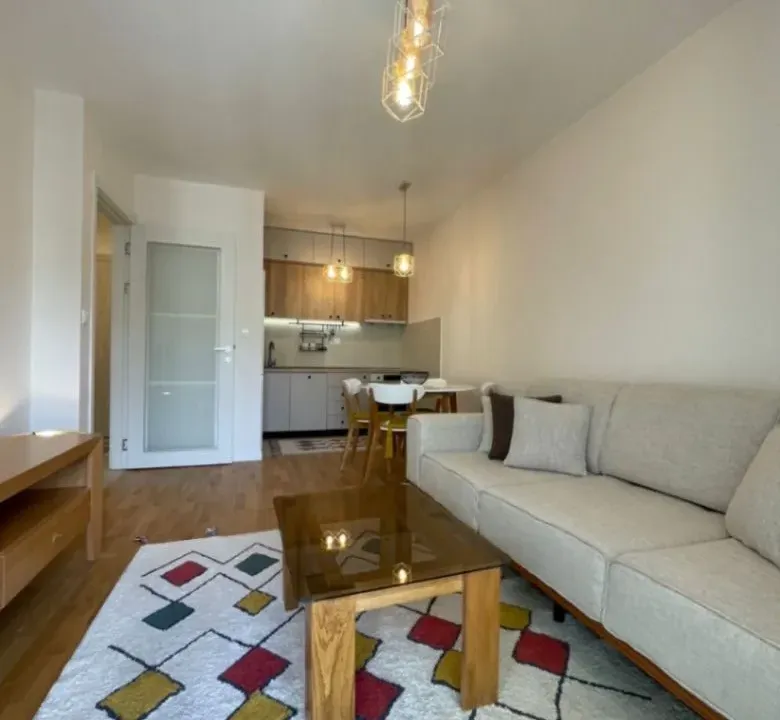 Izdavanje, jednosoban stan, 42m², Pobrežje, Podgorica