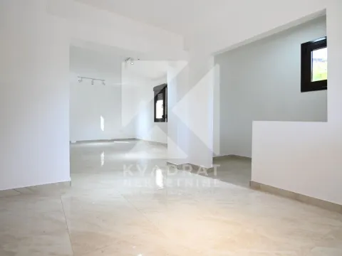 Poslovni prostor in Masline