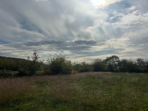 Prodaja, plac, 750m², Murtovina, Podgorica - image 2