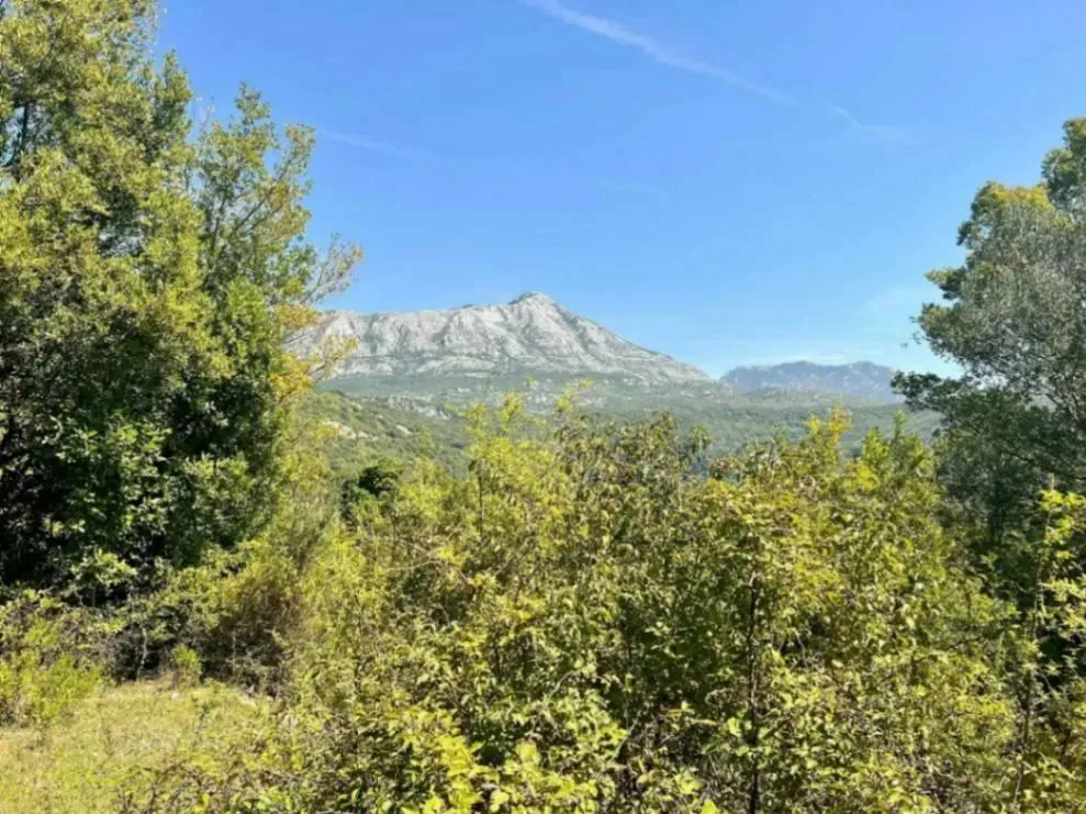 Prodaja, plac, 9800m², Herceg Novi, Crna Gora
