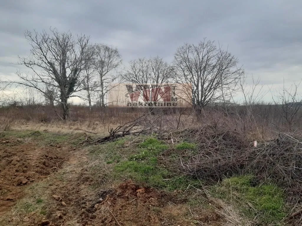 Sale, land lot, 6200m², Živkovac, Grocka