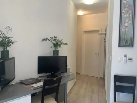 Sale, one bedroom apartment, 43m², Velji Vinogradi, Budva - image 3