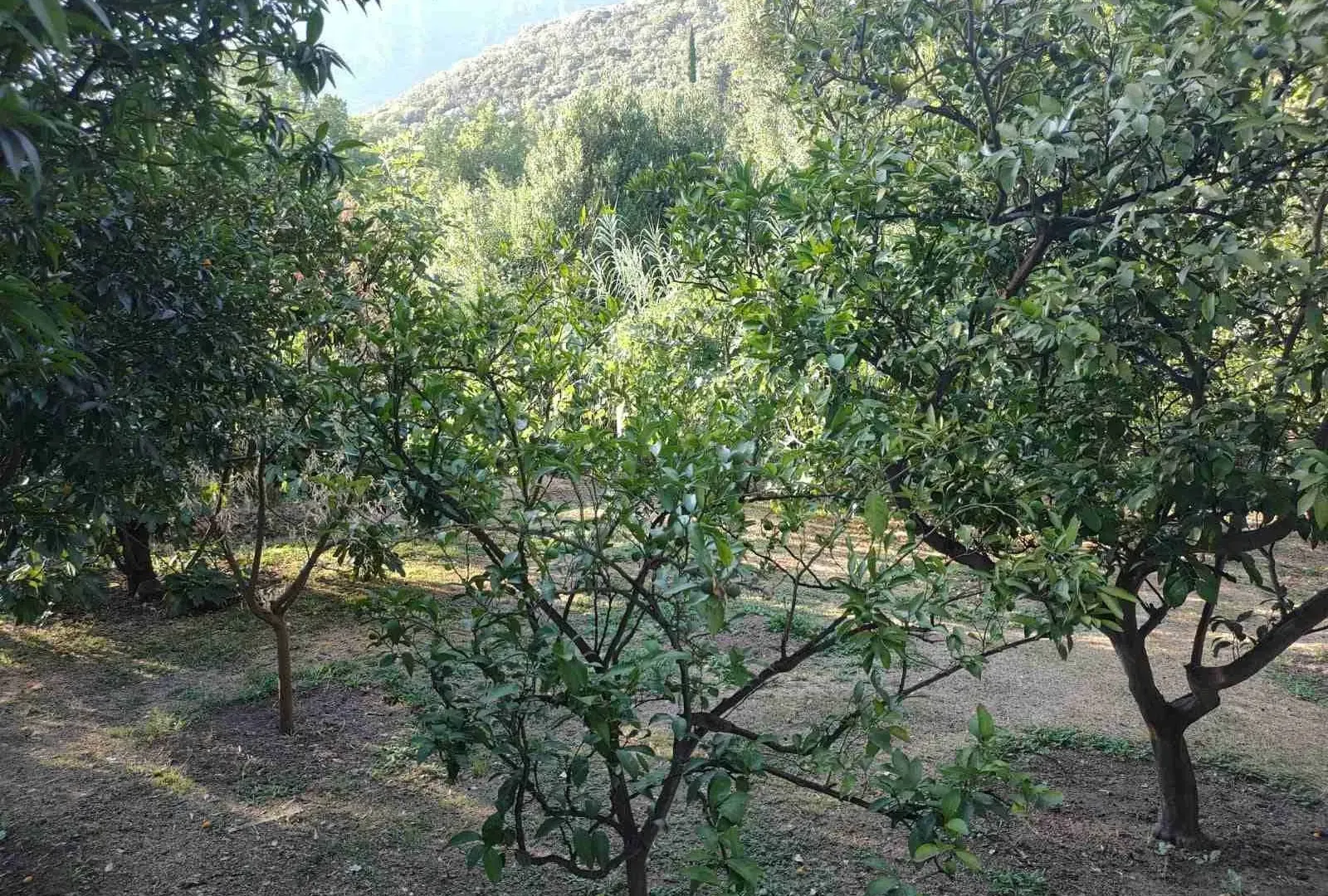 Prodaja, kuća, 180m², Zelenika, Herceg Novi