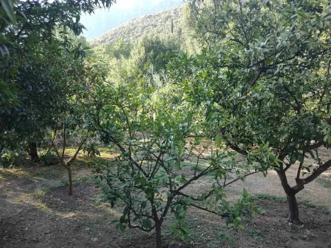 Prodaja, kuća, 180m², Zelenika, Herceg Novi - image 21