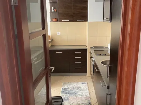 Rent, one bedroom apartment, 52m², Preko Morače, Podgorica - image 4