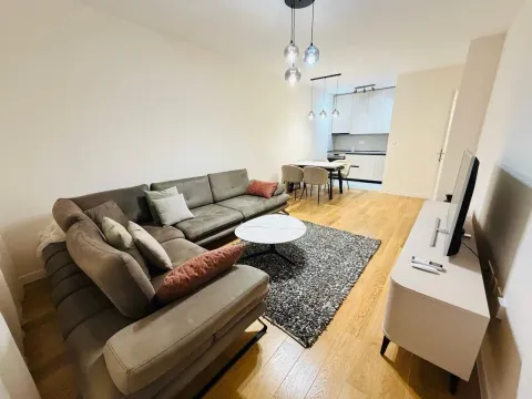 Izdavanje, jednosoban stan, 48m², Central Point, Podgorica - image 1