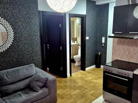 Rent, one bedroom apartment, 30m², Lekino Brdo, Voždovac Sve Podlokacije - image 3