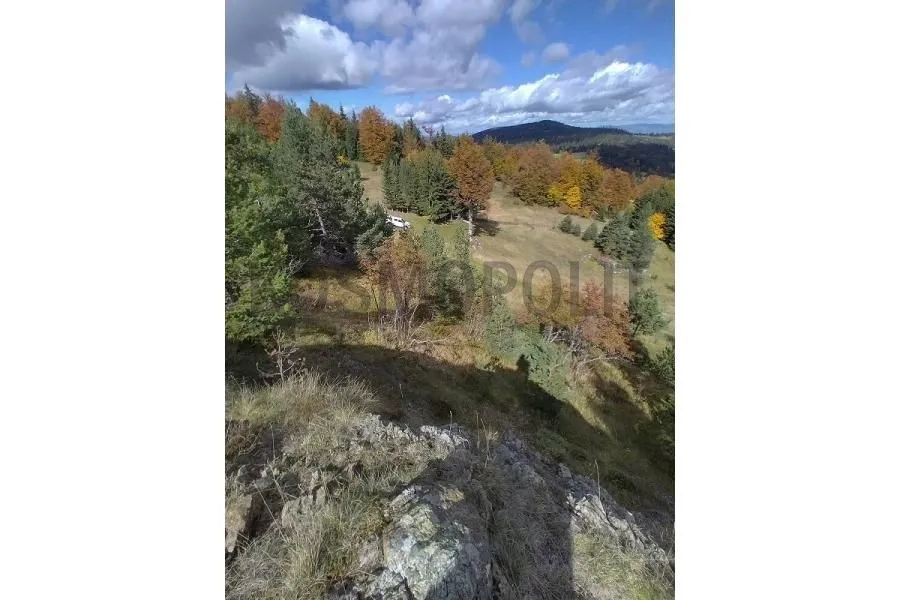 Prodaja, plac, 6930m², Mokra gora, Tara