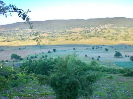 Prodaja, plac, 16106m², Velimlje, Nikšić