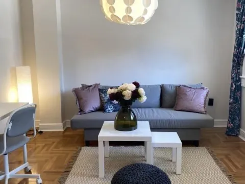 Izdavanje, garsonjera, 25m², Novo naselje, Novi Sad - image 3