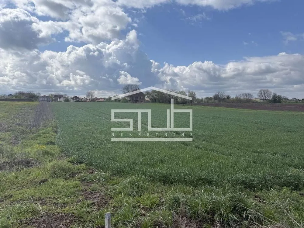 Prodaja, plac, 5000m², Dobanovci, Surčin