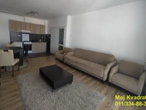 Izdavanje, jednosoban stan, 45m², Centar Sve Podlokacije, Beograd - image 2