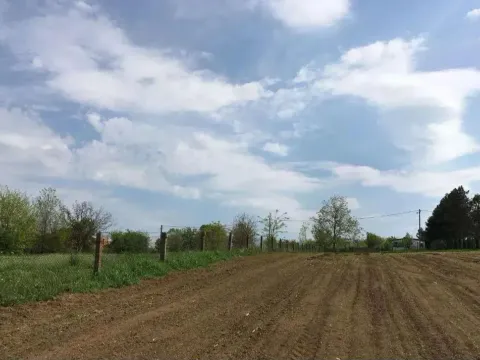 Prodaja, plac, 6300m², Velika Plana, Srbija - image 3
