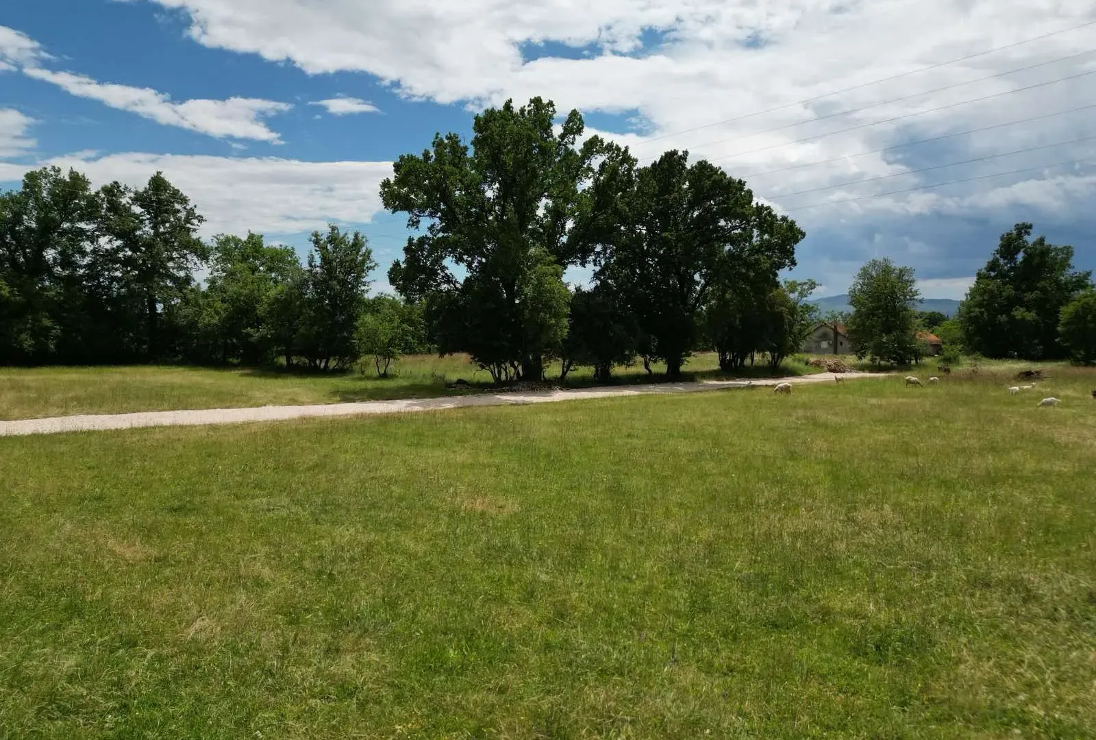 Prodaja, plac, 8000m², Gorica, Danilovgrad