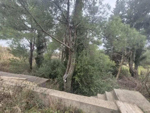 Prodaja, plac, 980m², Mojdež, Herceg Novi - image 3