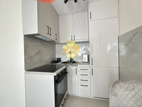 Izdavanje, jednosoban stan, 40m², Preko Morače, Podgorica - image 4