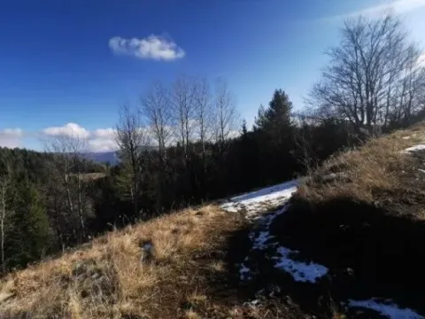 Sale, land lot, 4390m², Tara, Srbija - image 11