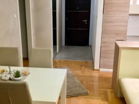 Izdavanje, jednosoban stan, 50m², Ljubović, Podgorica - image 4