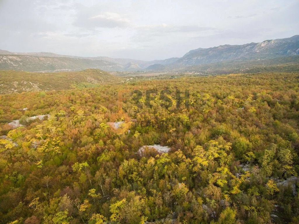 Prodaja, plac, 104804m², Danilovgrad, Crna Gora