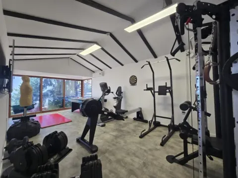 Sale, house, 388m², Sremska Kamenica, Petrovaradin - image 16