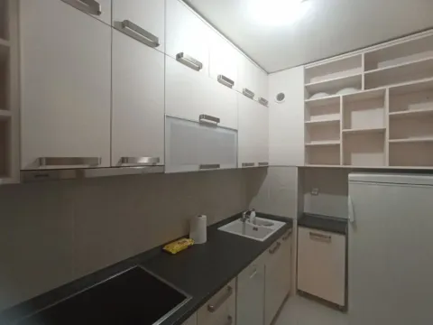 Izdavanje, jednosoban stan, 52m², Preko Morače, Podgorica - image 9