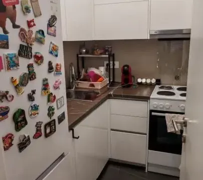 Izdavanje, dvosoban stan, 55m², Centar, Novi Sad - image 5