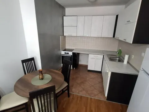 Izdavanje, jednosoban stan, 44m², Grbavica, Novi Sad Sve Podlokacije - image 2