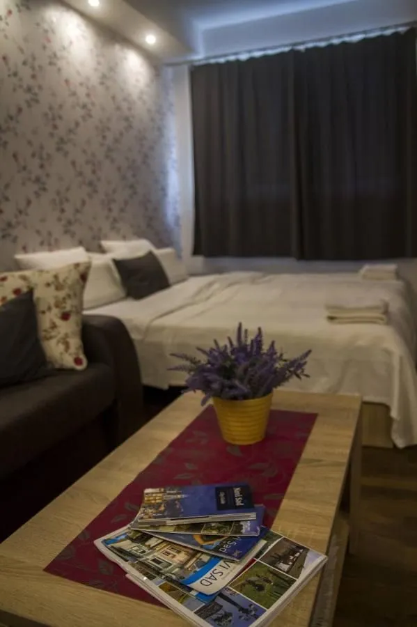 Izdavanje, jednosoban stan, 35m², Centar, Novi Sad
