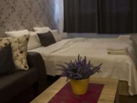 Rent, one bedroom apartment, 35m², Centar, Novi Sad - image 4