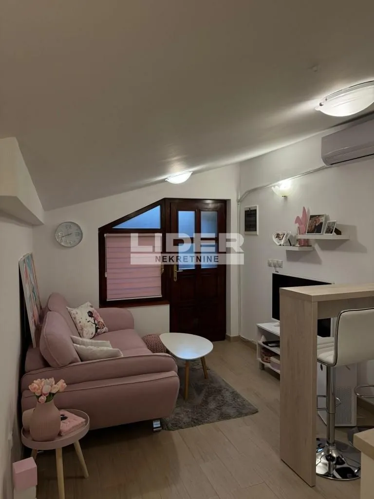 Izdavanje, dvosoban stan, 30m², Vračar Sve Podlokacije, Beograd