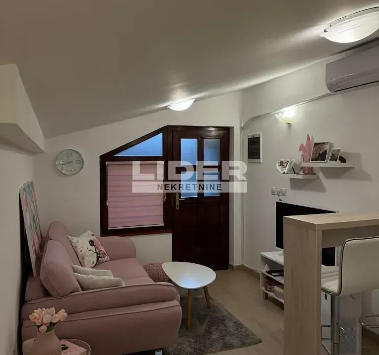 Izdavanje, dvosoban stan, 30m², Vračar Sve Podlokacije, Beograd