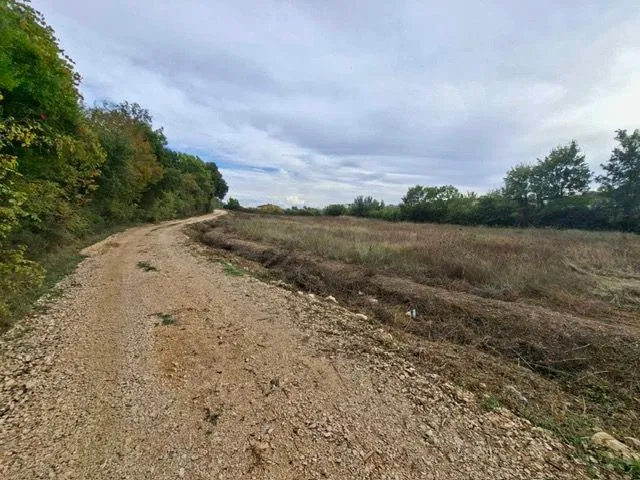 Zemljište pored makadamskog puta sa drvećem i rastinjem.