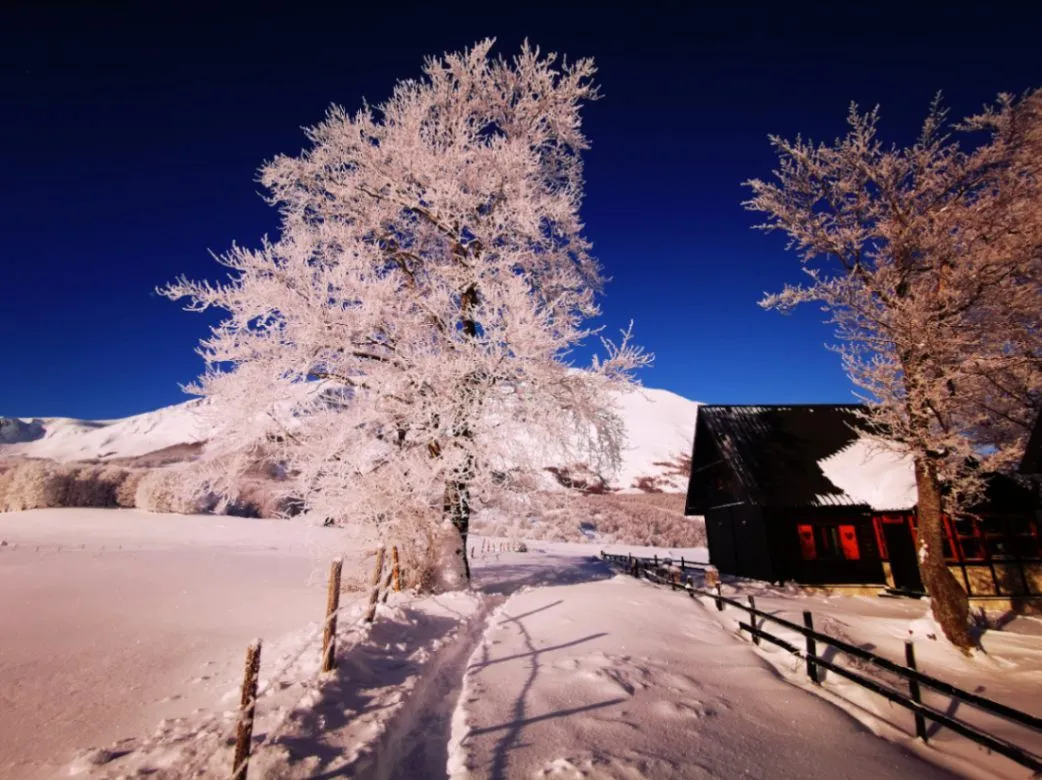 Prodaja, kuća, 100m², Virak, Žabljak