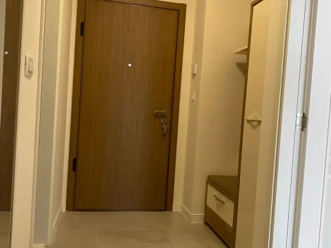 Izdavanje, jednosoban stan, 49m², Central Point, Podgorica - image 16