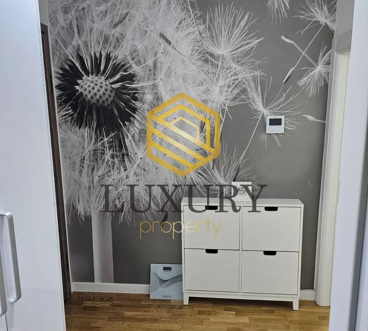 Rent, one bedroom apartment, 46m², Zabjelo, Podgorica