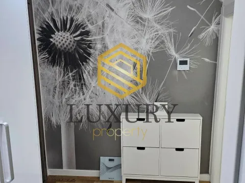 Rent, one bedroom apartment, 46m², Zabjelo, Podgorica - image 10