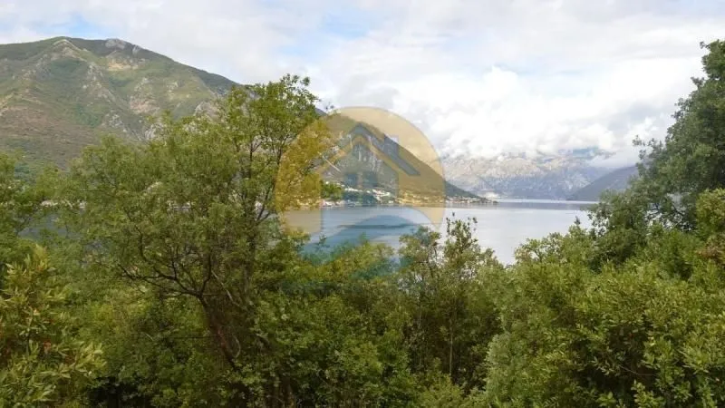 Prodaja, plac, 1200m², Dobrota, Kotor