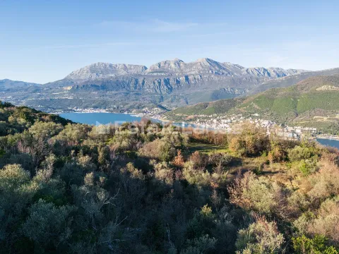 Prodaja, plac, 1850m², Zabrđe, Herceg Novi - image 3