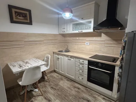 Izdavanje, jednosoban stan, 40m², Blok 5, Podgorica - image 4