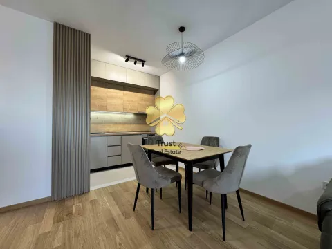 Izdavanje, jednosoban stan, 50m², Podgorica, Crna Gora - image 5